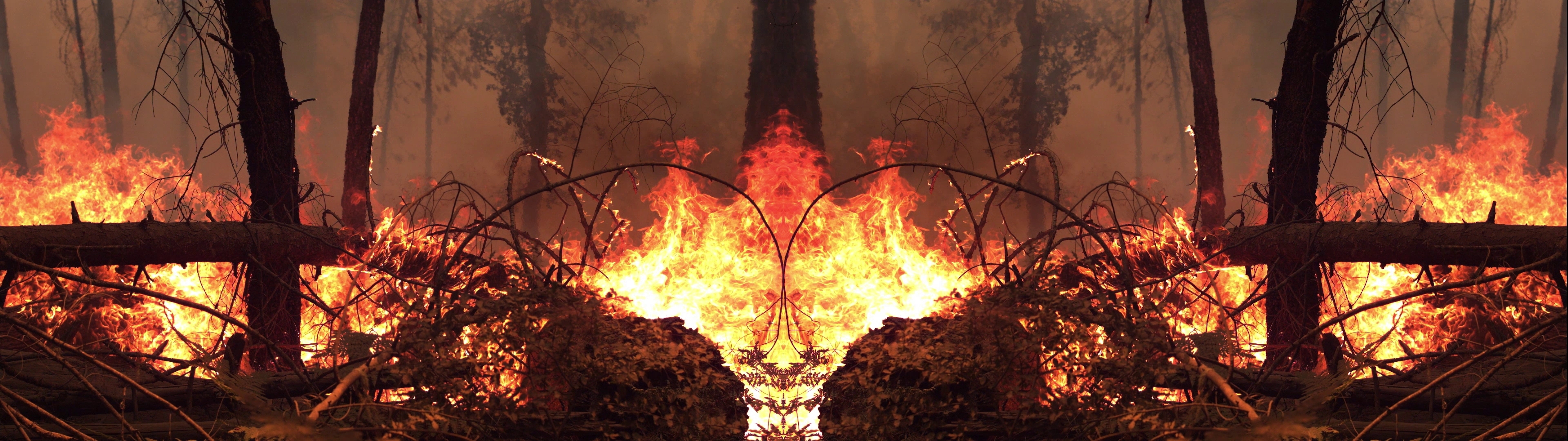 Waldbrand mit loderndem Feuer