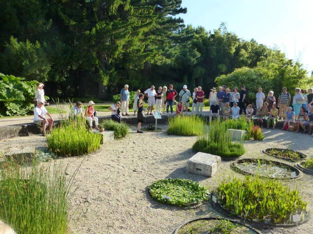 Menschengruppe in einem Garten mit Schotter und Grasinseln
