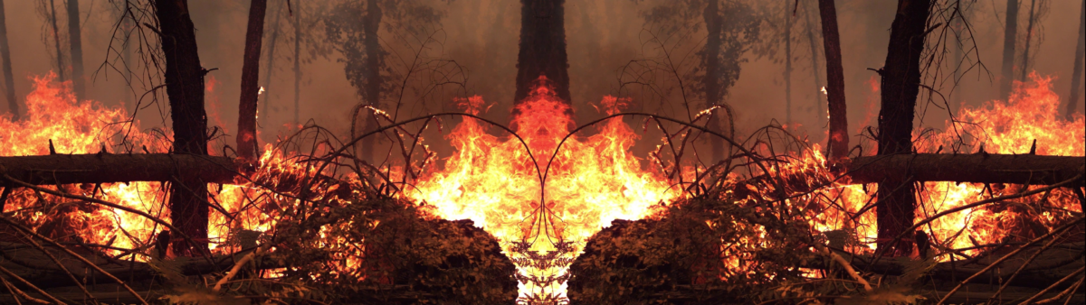 Waldbrand mit loderndem Feuer