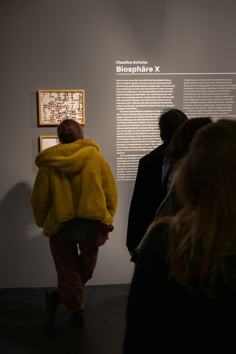 Besucher*innen betrachten die Kunstwerke und lesen die Beschreibung