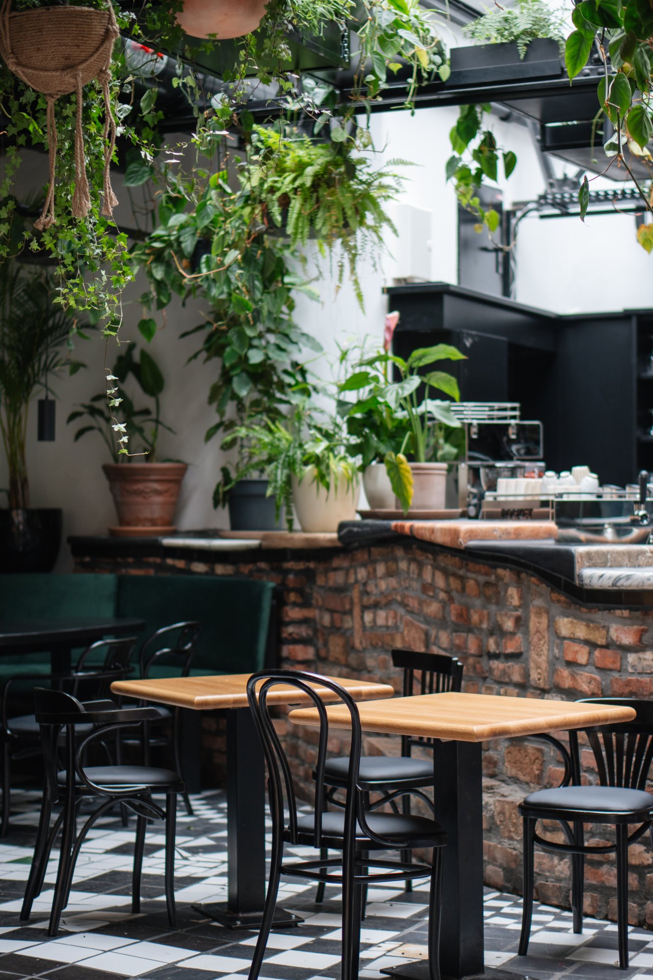Cafehausrische mit Holzplatte und schwarzen Stühlen; schwarz-weiße Bodenfliesen, geziegelte Barwand und Pflanzen die von der Decke hängen