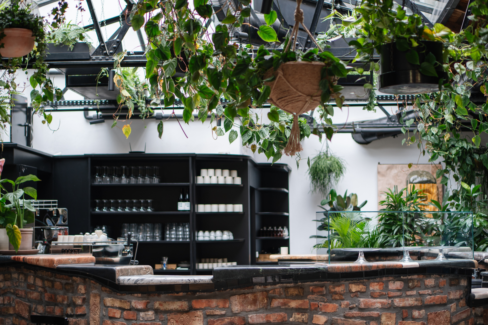 Blick auf eine geziegelte Barwand und Pflanzen die von der Decke hängen