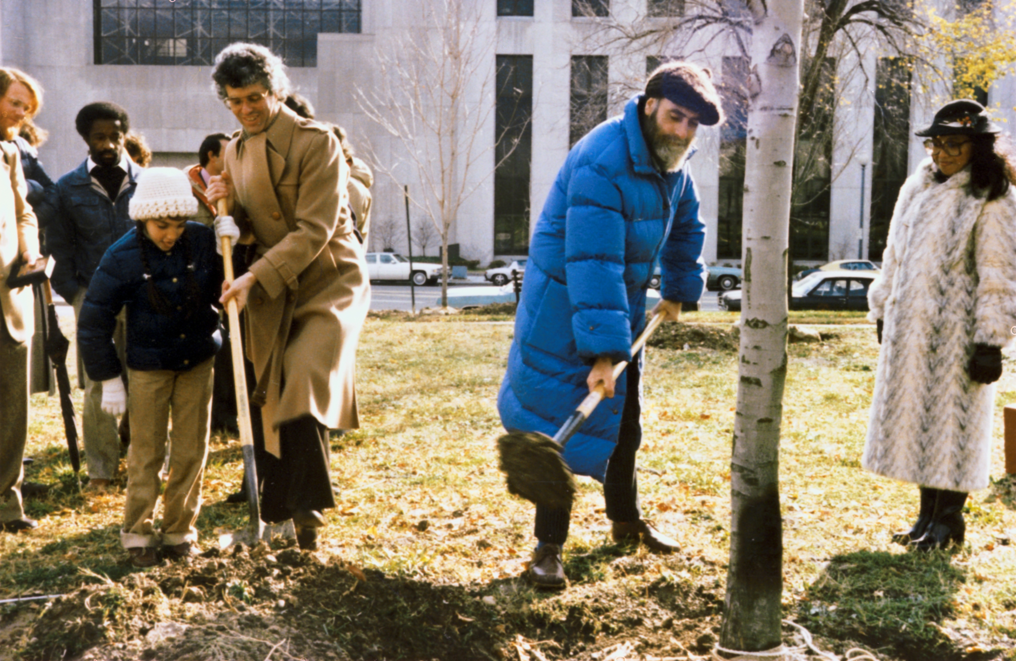 Hundertwasser in blauer langen Steppjacke und Schaufel in Händen, er pflanzt einen Baum