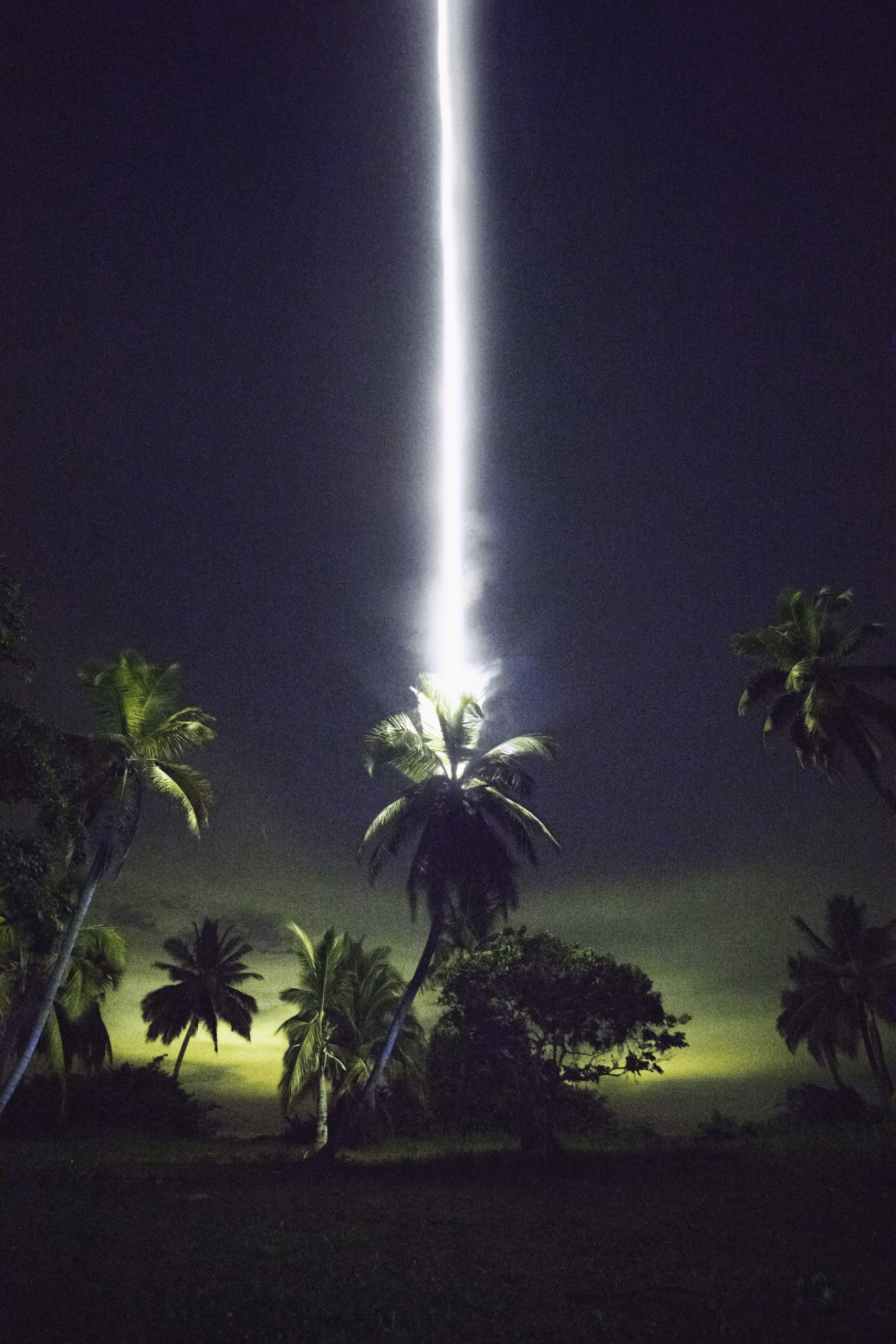 Ein Blitz der gerade in eine Palme einschlägt in der Nacht
