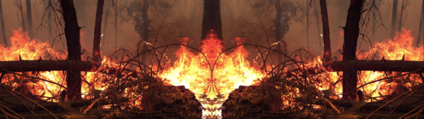 Waldbrand mit loderndem Feuer