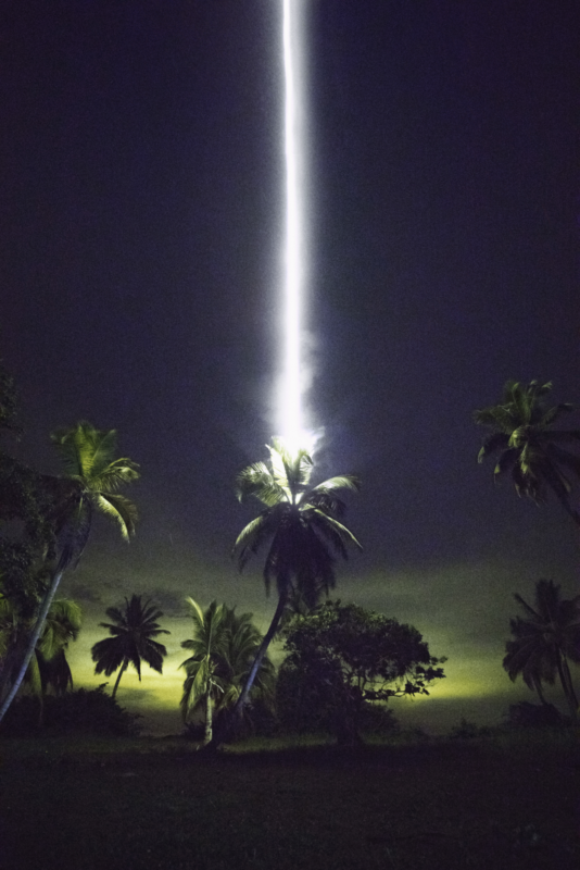 Ein Blitz der gerade in eine Palme einschlägt in der Nacht